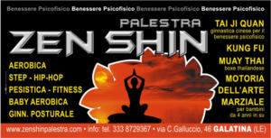 zenshin_flyer
