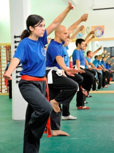 kung fu 20101211 1850077873